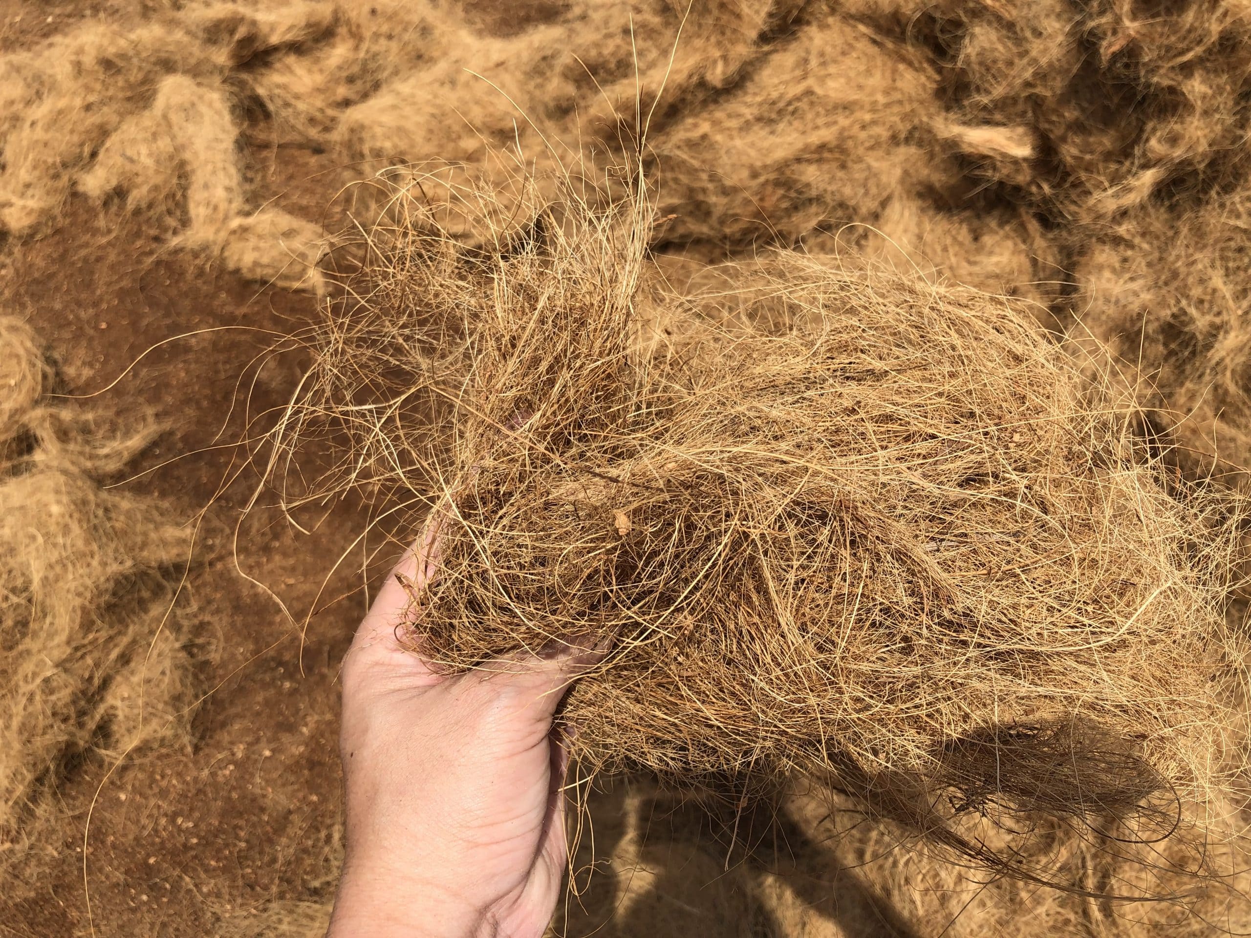 Cocofiber